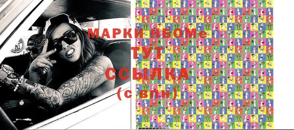 прущие грибы Верхний Тагил