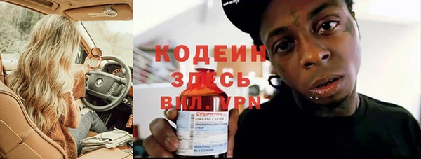 прущие грибы Верхний Тагил