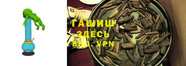 прущие грибы Верхний Тагил