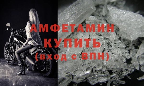 прущие грибы Верхний Тагил