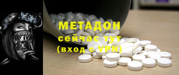 прущие грибы Верхний Тагил