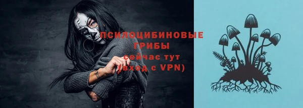 МДПВ Верея