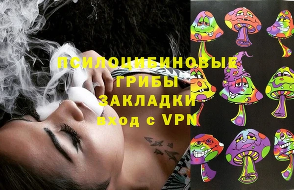 МДПВ Верея
